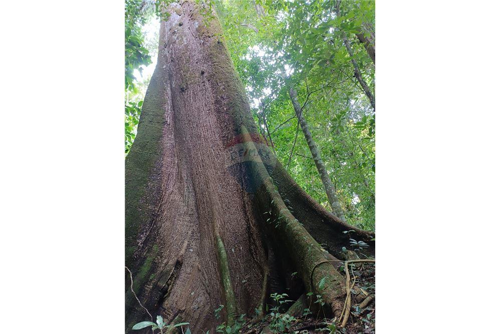 Land - For Sale - Puntarenas, Puntarenas - Puntarenas, Costa Rica - 5 - 902211014-15