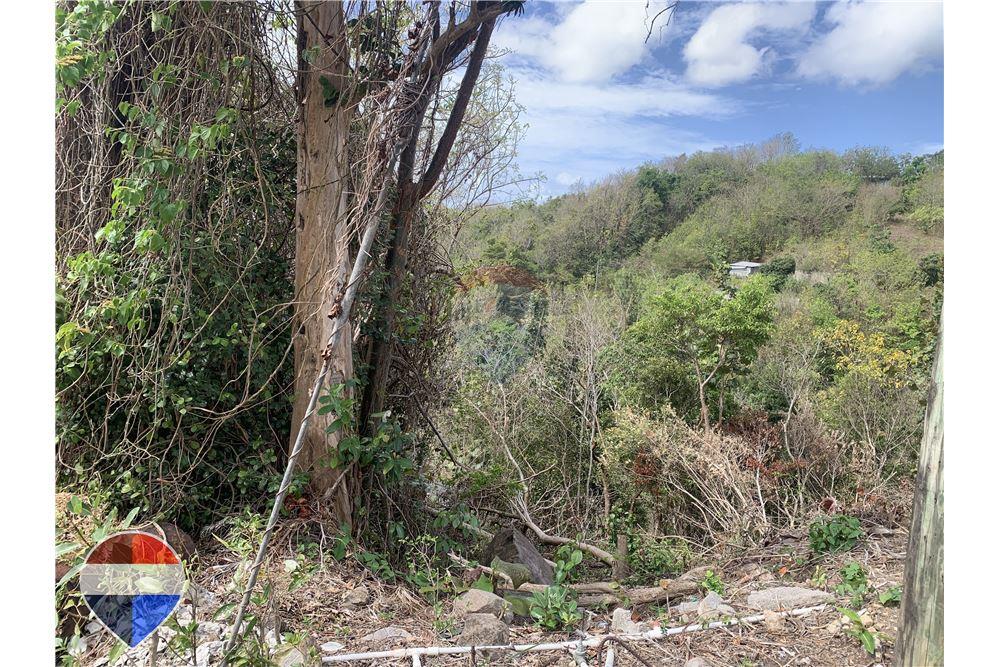 Grondstuk - Te Koop - Anse La Raye, Anse-la-Raye, St Lucia - 11 - 902071001-195