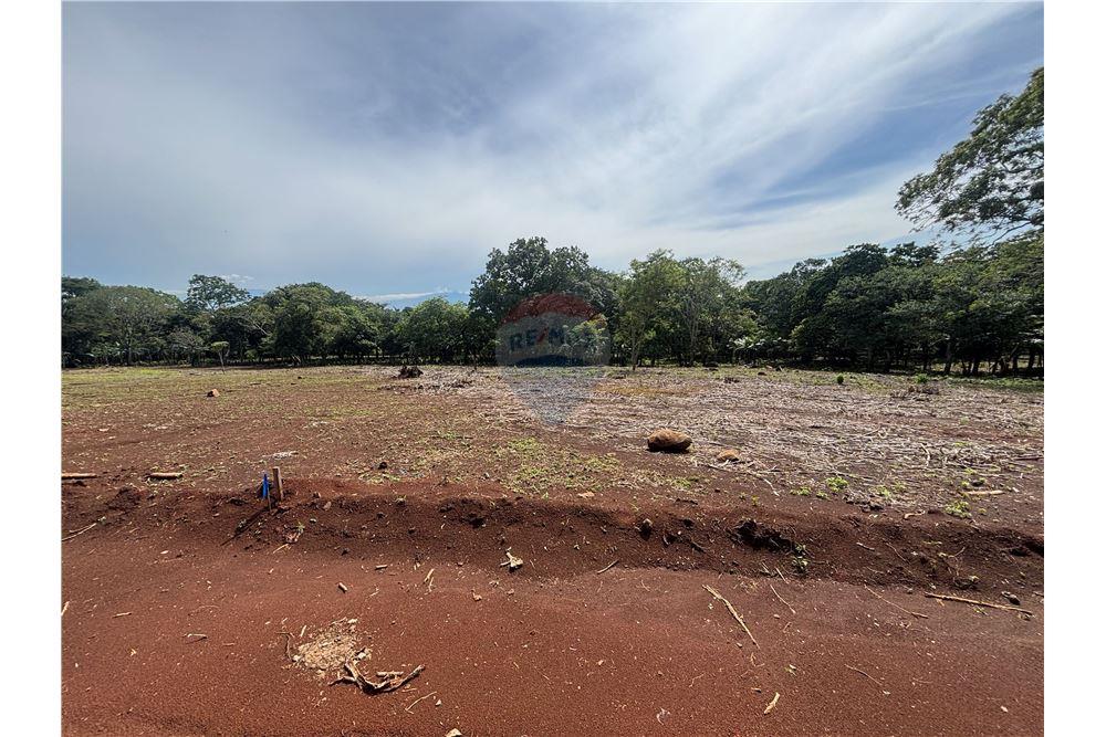 Land - For Sale - Atenas, Alajuela- Atenas, Costa Rica - 26 - 90128002-974