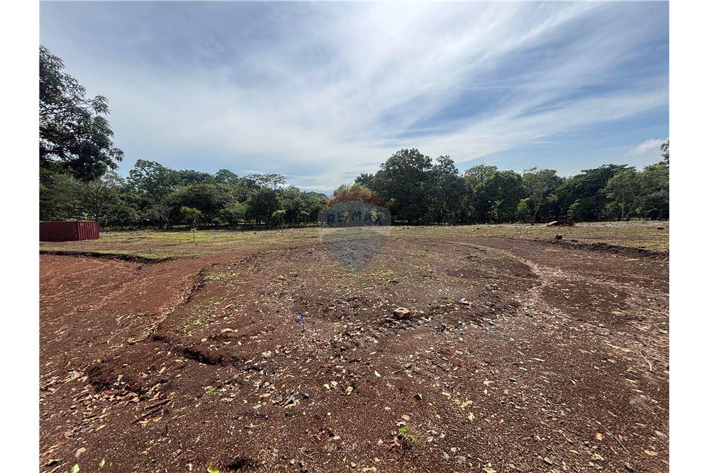 Land - For Sale - Atenas, Alajuela- Atenas, Costa Rica - 27 - 90128002-974