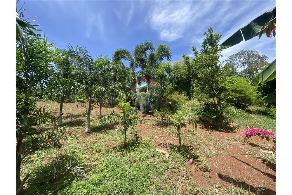 Land - For Sale - Utila, Bay Islands, Honduras - 11 - 90182002-606