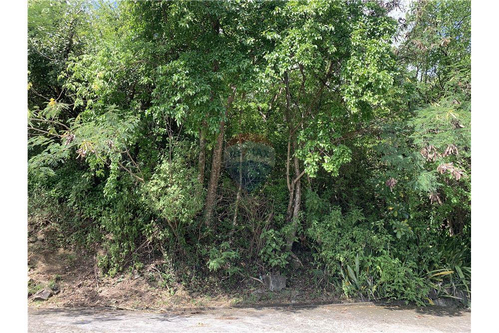 Grondstuk - Te Koop - Gros Islet, Gros-Islet, St Lucia - 6 - 902071001-213