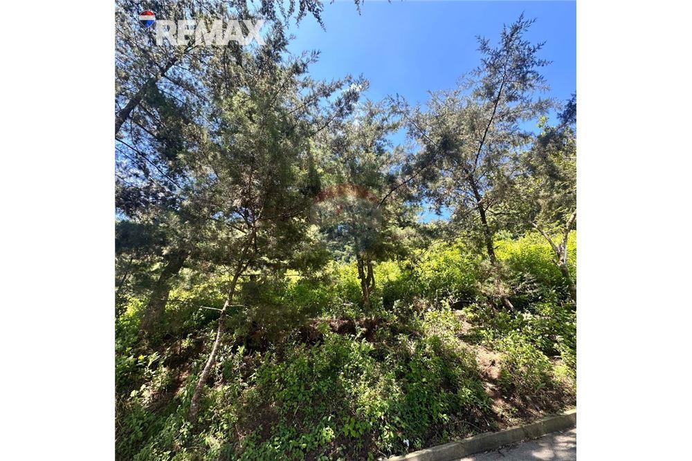 Land - For Sale - San José Pinula, Guatemala, Guatemala - 4 - 902611006-17