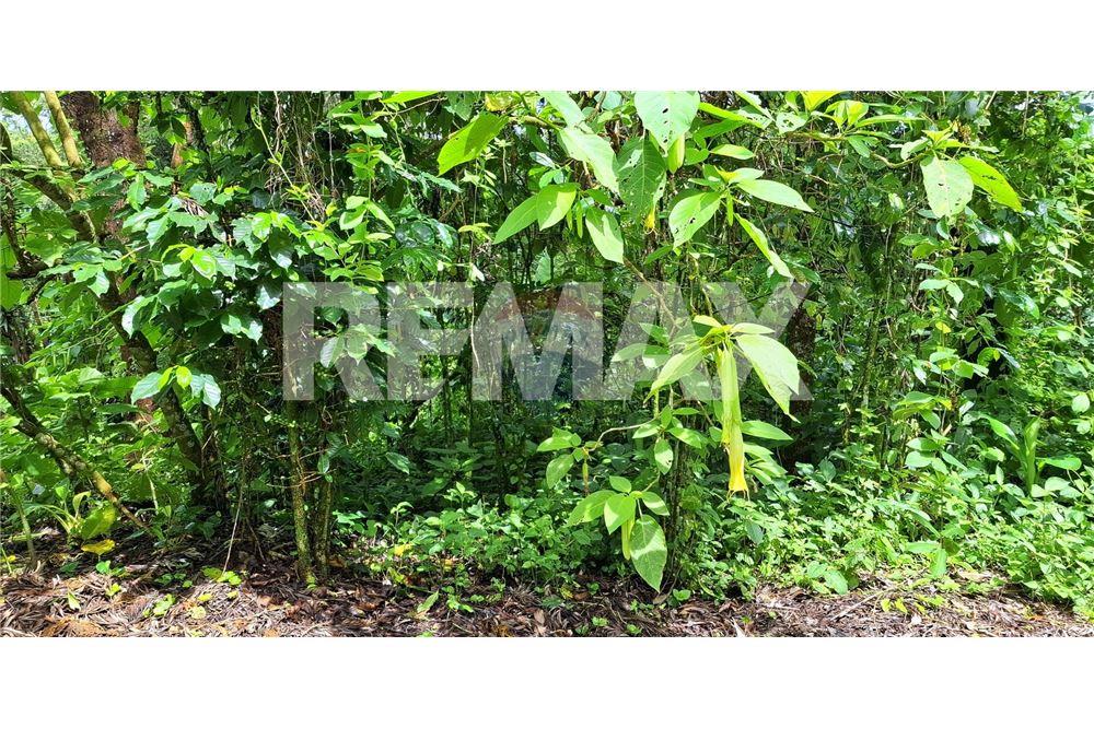 Land - For Sale - Santa Elena Barillas, Guatemala, Guatemala - 9 - 902091017-26