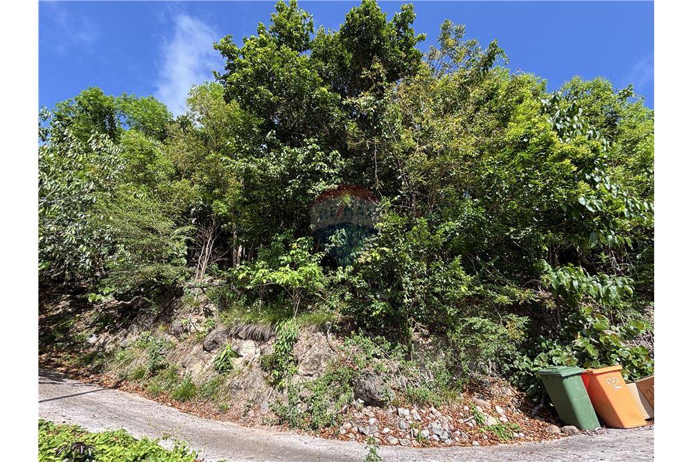 Grondstuk - Te Koop - Windward Side, Saba, Saba - 3 - 90144016-29