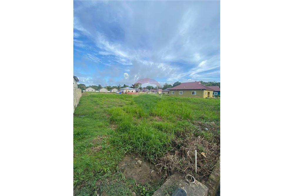 Land - For Sale - Sangre Grande, Saint Andrew, Trinidad and Tobago - 3 - 90155109-228