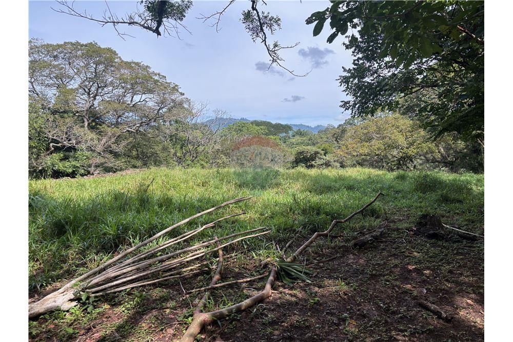 Land - For Sale - Atenas, Alajuela- Atenas, Costa Rica - 11 - 90128002-974