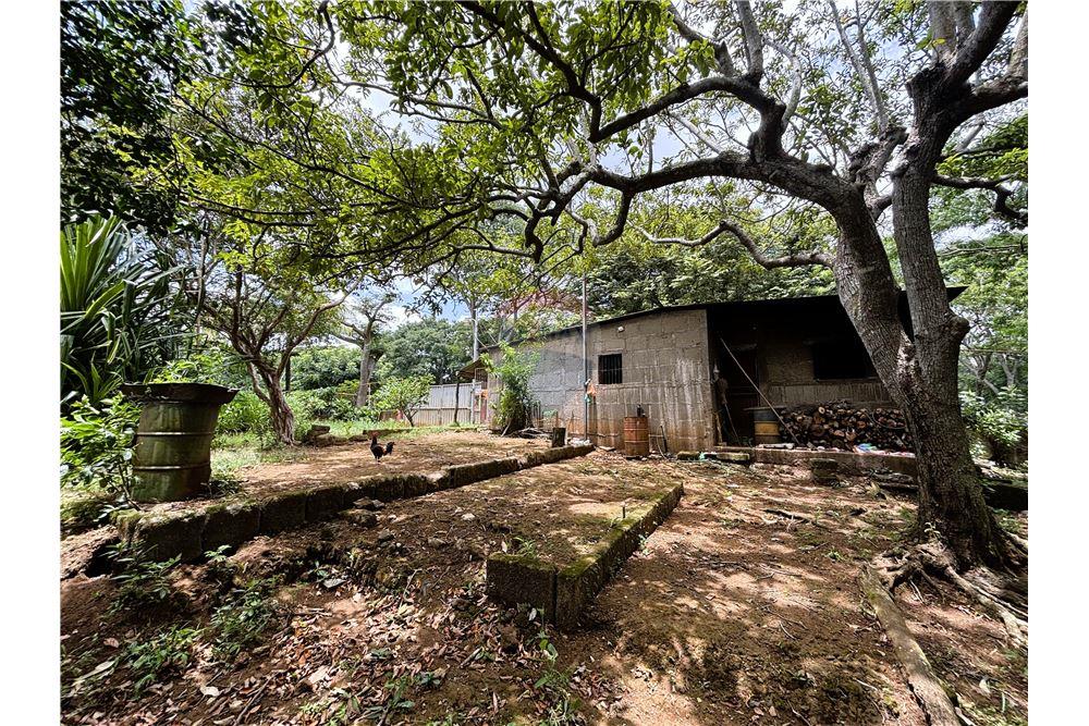 Lote - Venta - Dolores, Carazo, Nicaragua - 9 - 902521001-24