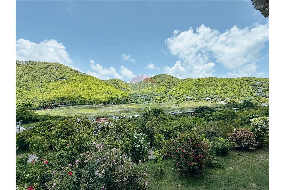 Villa - For Sale - Sea Cows Bay, Tortola South Central, British Virgin Islands - 1 - 90134005-314