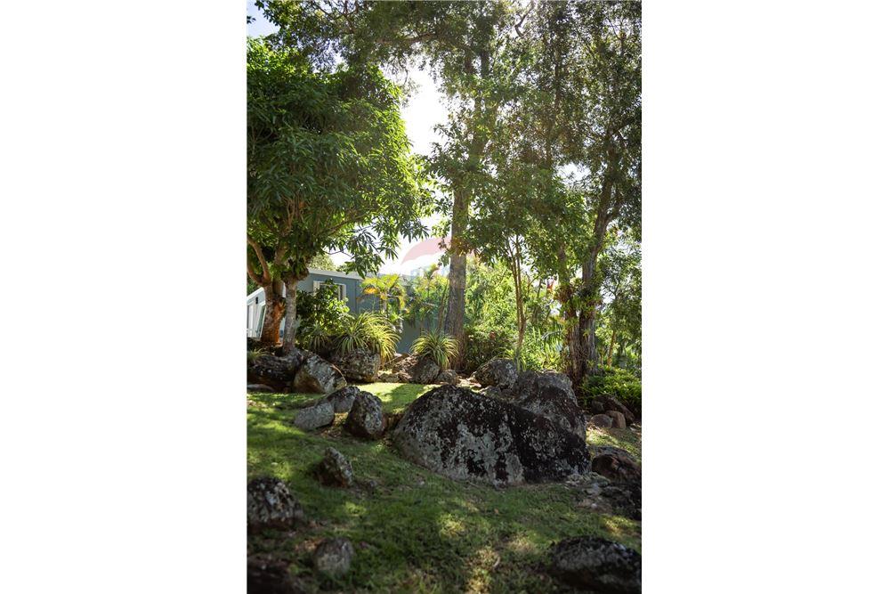 Villa - Te Koop - Mafolie, St Thomas, US Virgin Islands - 14 - 90123001-1307