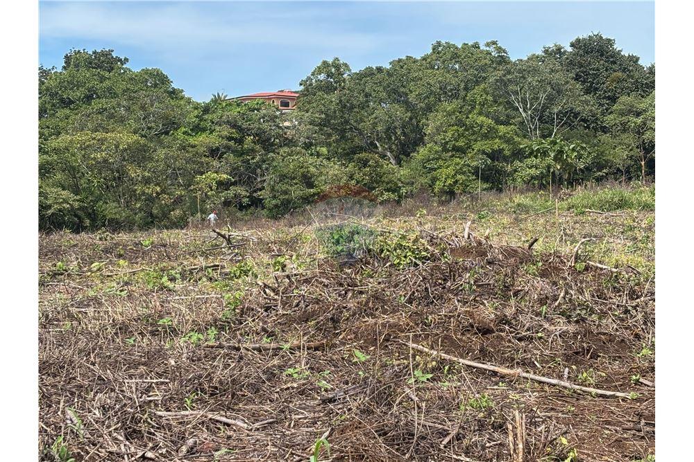 Land - For Sale - Atenas, Alajuela- Atenas, Costa Rica - 23 - 90128002-974