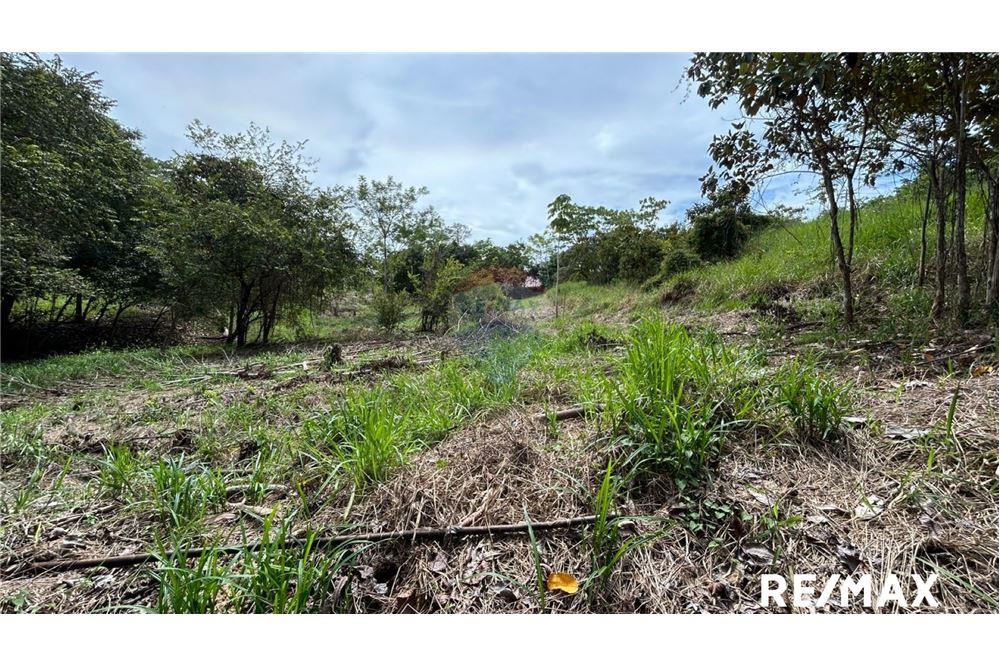 Land - For Sale - Parrita - Esterillos, Puntarenas - Parrita, Costa Rica - 4 - 90168040-29