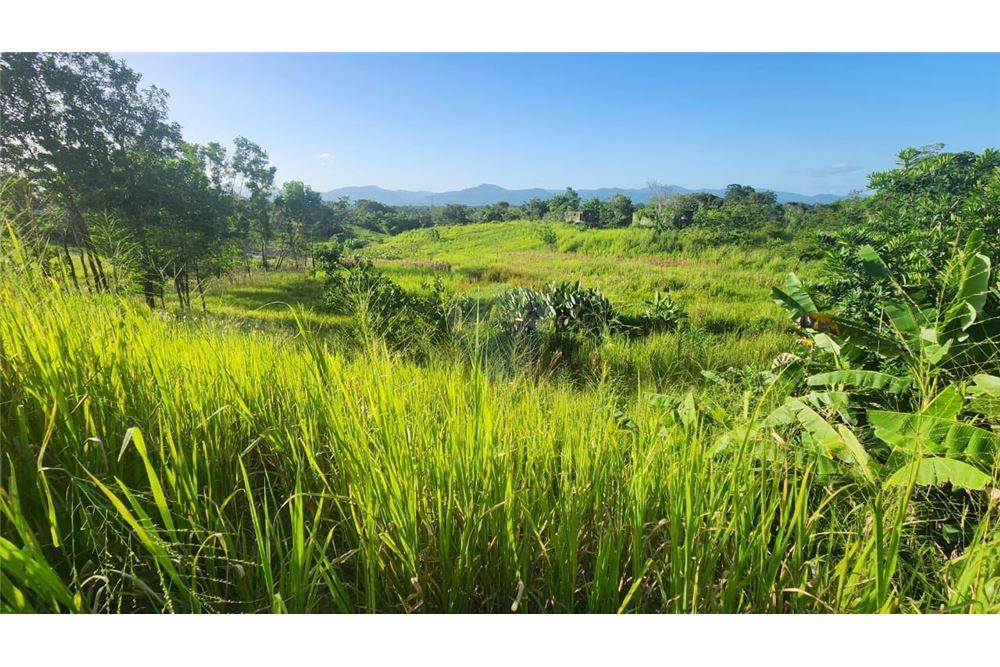 Grondstuk - Te Koop - Las Lomas, Caroni, Trinidad and Tobago - 1 - 902551007-7