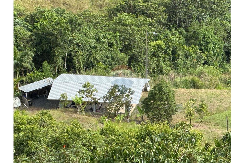 Lote - Venta - Barranquitas, Barranquitas, Puerto Rico - 3 - 90102087-2