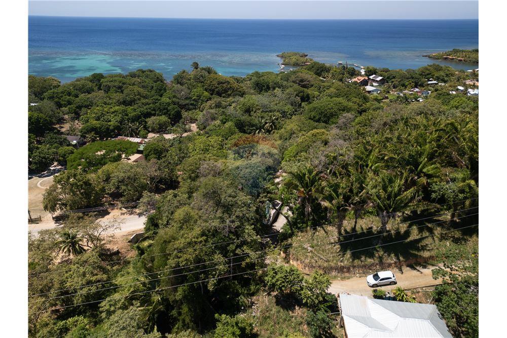Lote - Venta - Roatan, Bay Islands, Honduras - 2 - 90143009-417