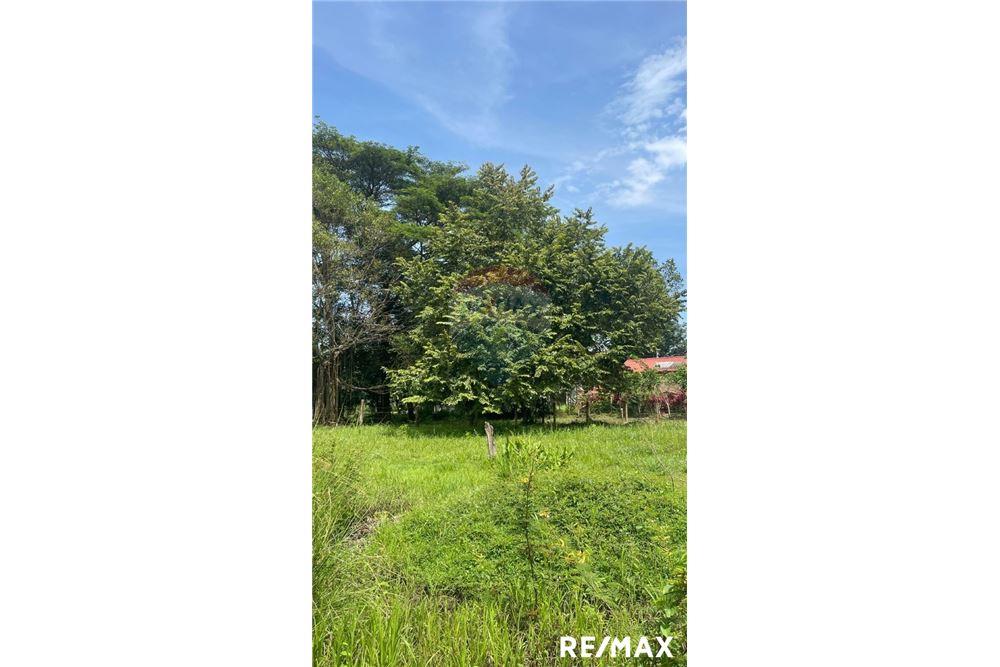 Land - For Sale - Tarcoles - Agujas, Puntarenas- Garabito, Costa Rica - 4 - 90168045-16