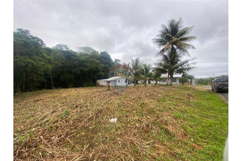 Lote - Venta - Sangre Grande, Saint Andrew, Trinidad and Tobago - 8 - 90155109-184
