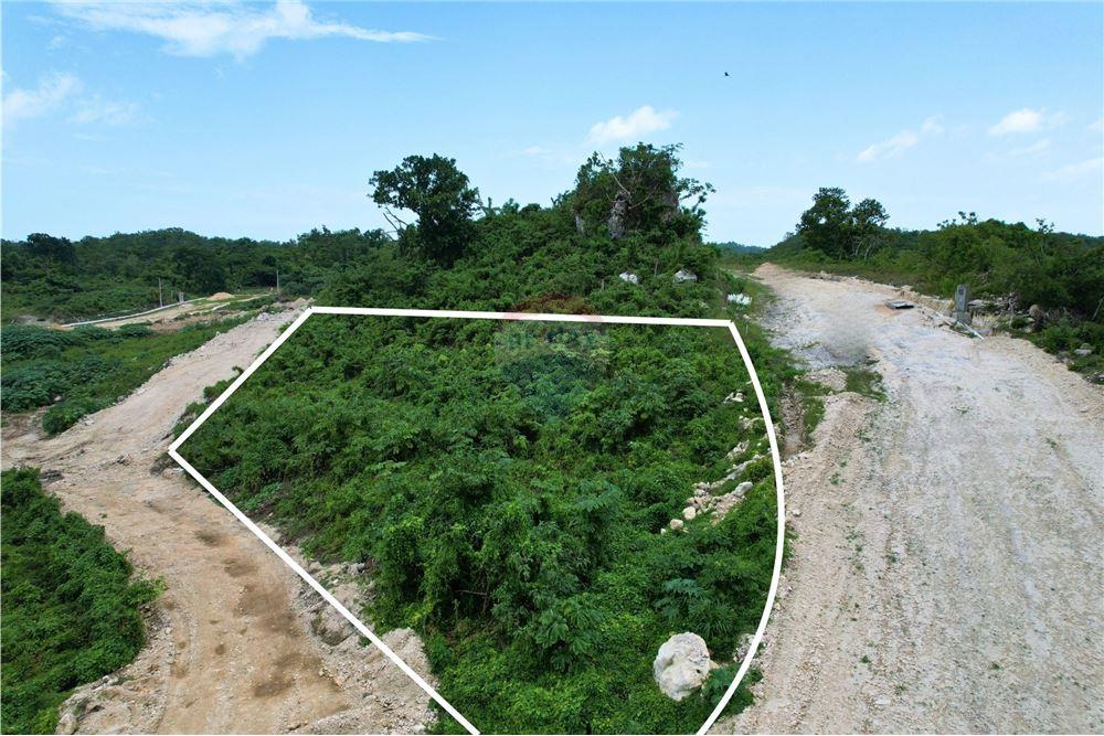 Land - For Sale - Negril, Westmoreland, Jamaica - 8 - 902421019-11
