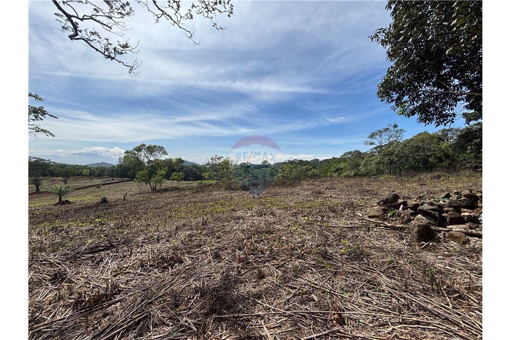 Land - For Sale - Atenas, Alajuela- Atenas, Costa Rica - 5 - 90128002-974