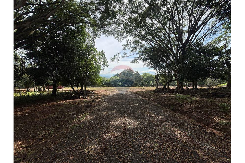 Land - For Sale - Atenas, Alajuela- Atenas, Costa Rica - 32 - 90128002-974