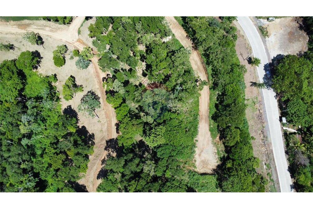 Land - For Sale - Roatan, Bay Islands, Honduras - 5 - 90139004-186