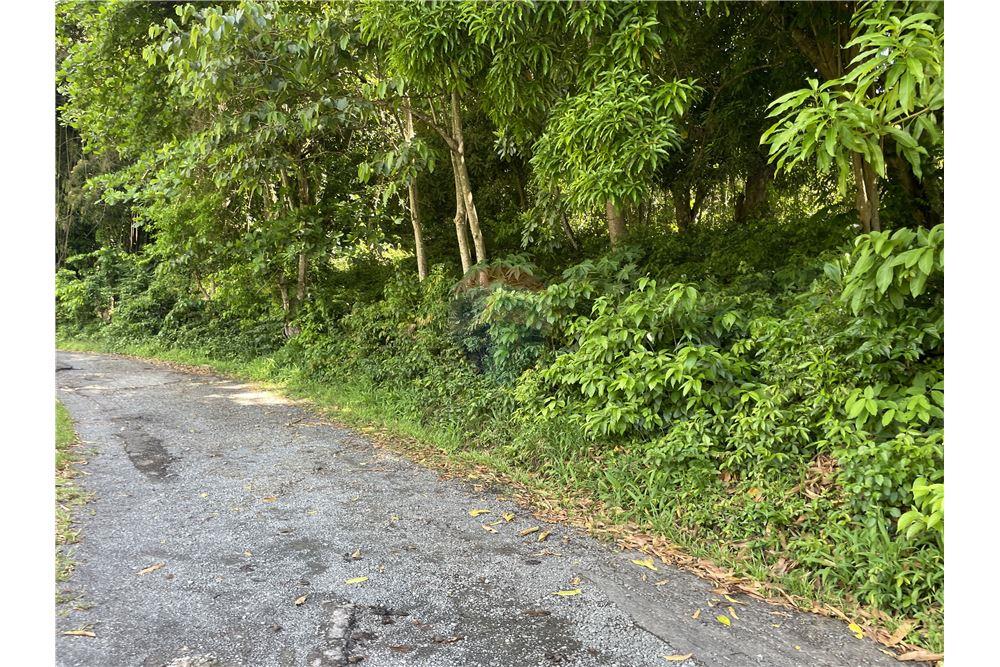 Grondstuk - Te Koop - Marigot Bay, Castries, St Lucia - 5 - 902071001-202