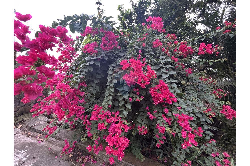 Villa - Venta - Cay Hill, St Maarten, St. Maarten - 21 - 90144016-21