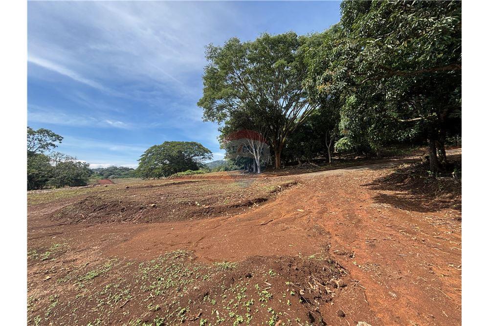 Land - For Sale - Atenas, Alajuela- Atenas, Costa Rica - 6 - 90128002-974
