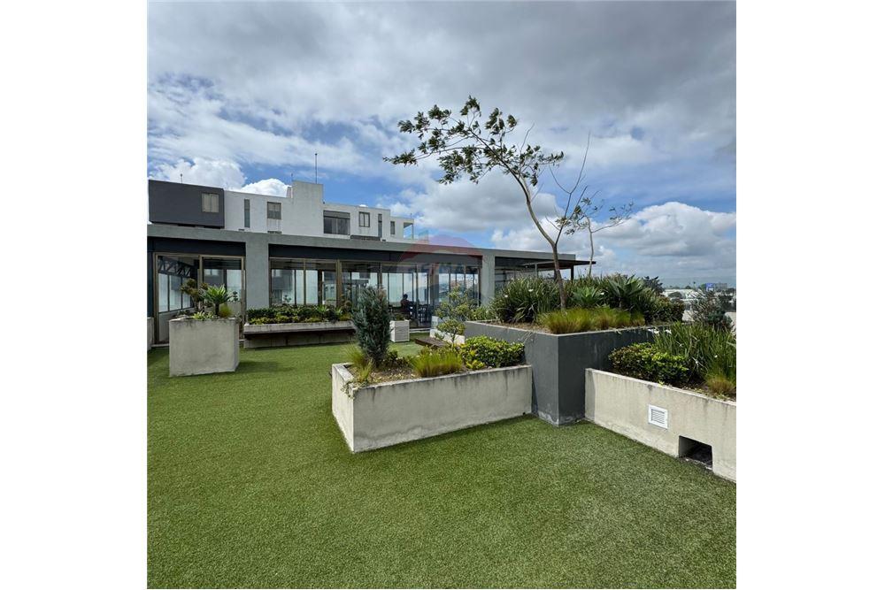 Appartement - Te Koop - Zona 5, Guatemala, Guatemala - 6 - 902651001-20