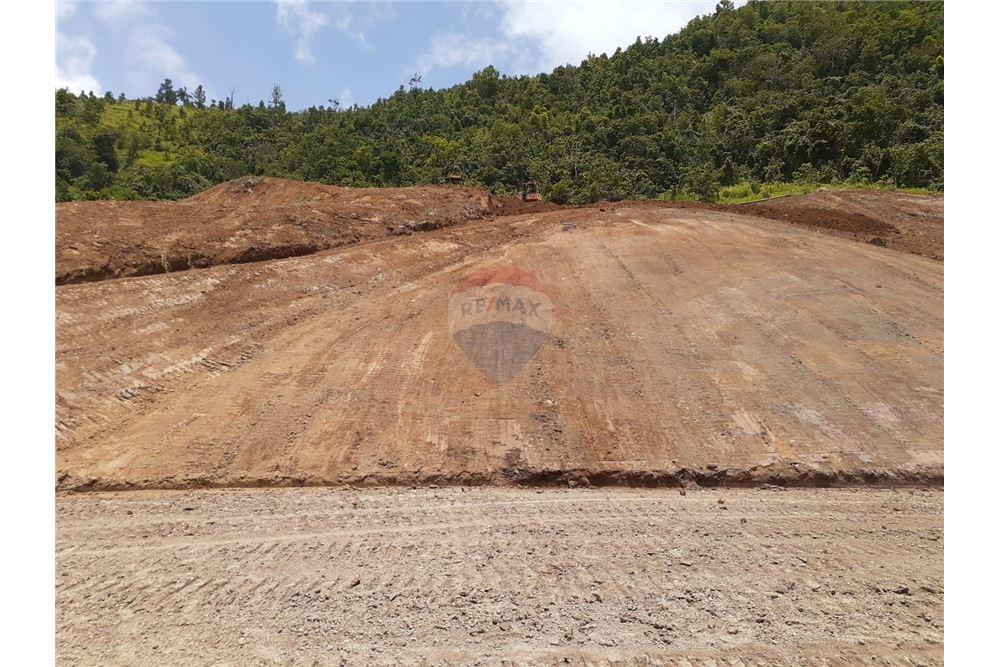 Lote - Venta - Barranquitas, Barranquitas, Puerto Rico - 5 - 90102087-2