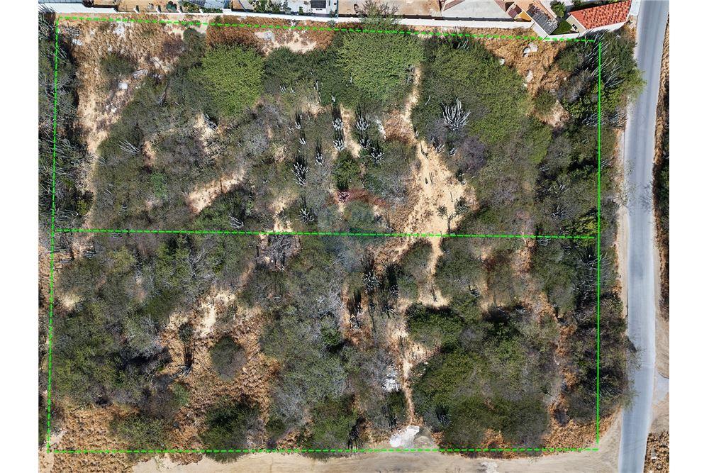 Grondstuk - Te Koop - Santa Cruz, Aruba, Aruba - 3 - 90105005-512