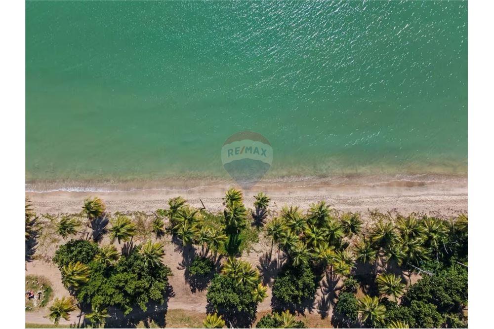 Multi-Family - For Sale - Naguabo, Naguabo, Puerto Rico - 24 - 90102037-10