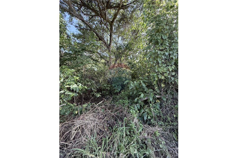 Land - For Sale - East End, Tortola, British Virgin Islands - 1 - 90134005-317