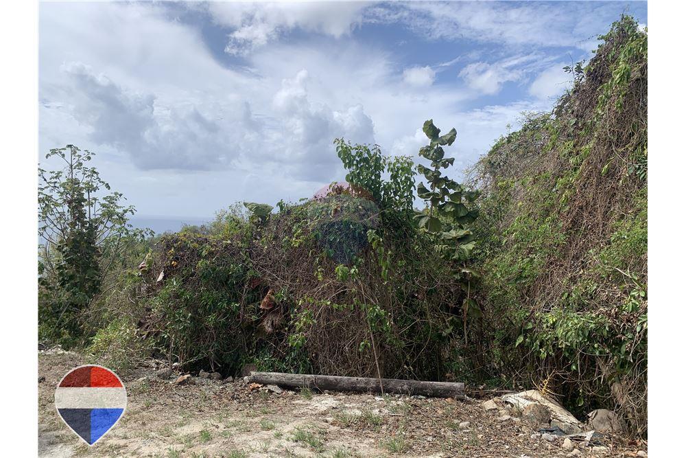 Grondstuk - Te Koop - Anse La Raye, Anse-la-Raye, St Lucia - 1 - 902071001-195