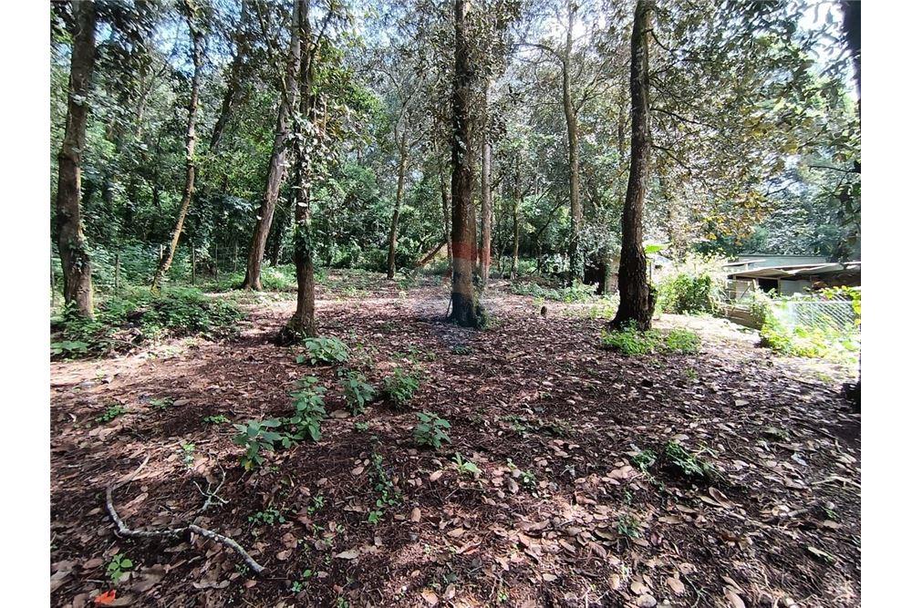 Lote - Venta - San Lucas Sacatepéquez, Sacatepéquez, Guatemala - 5 - 90129016-2