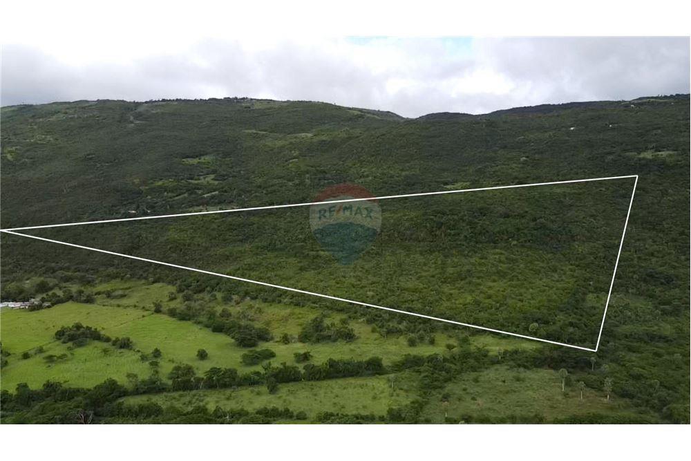 Land - For Sale - Malvern Well, Saint Elizabeth, Jamaica - 1 - 90153101-19