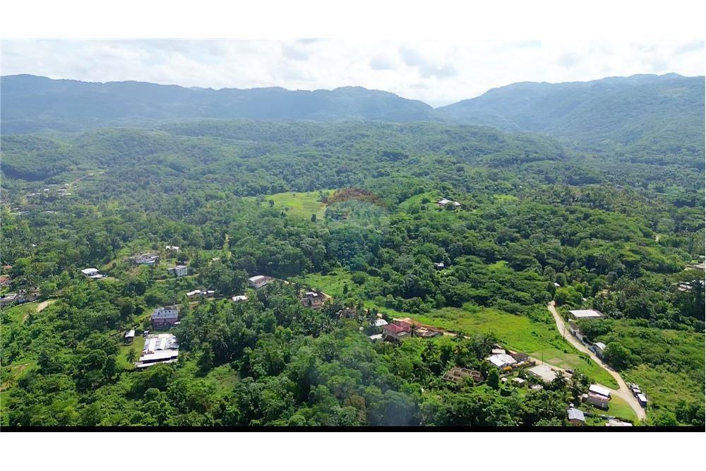 Grondstuk - Te Koop - Harkers Hall, Saint Catherine, Jamaica - 1 - 90153092-13