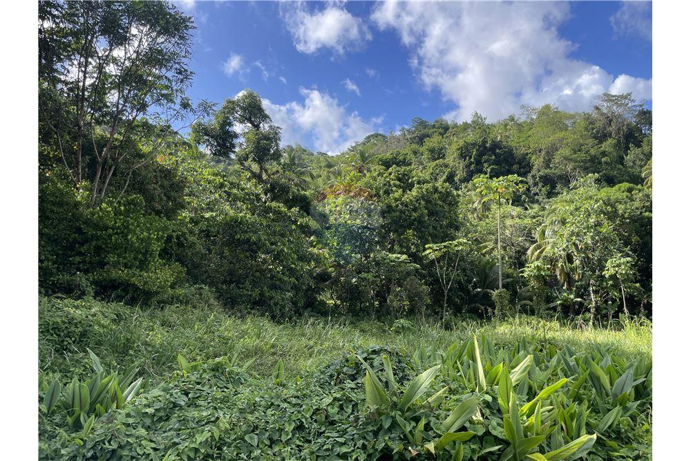 Land - For Sale - Bexon, Castries, St Lucia - 7 - 902071001-203