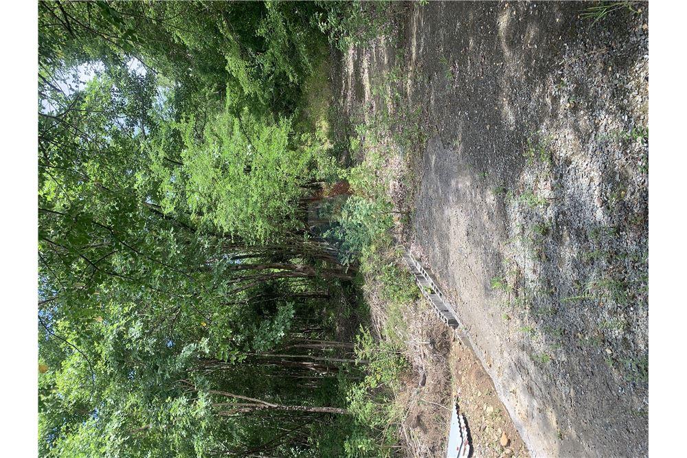 Grondstuk - Te Koop - Gros Islet, Gros-Islet, St Lucia - 6 - 902071001-212