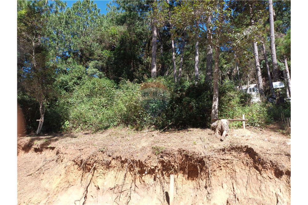 Grondstuk - Te Koop - San Raimundo, Guatemala, Guatemala - 5 - 902691016-8