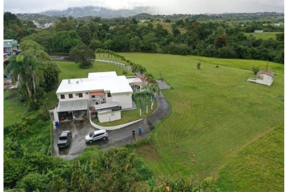 Villa - For Sale - Las Piedras, Las Piedras, Puerto Rico - 3 - 90102054-18