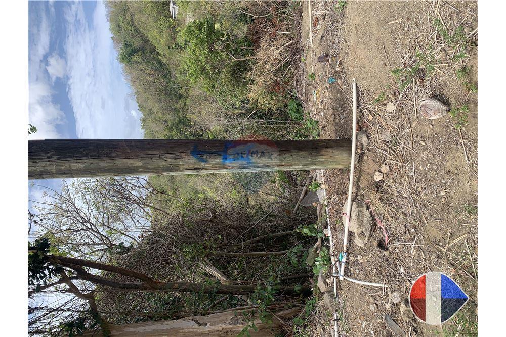 Grondstuk - Te Koop - Anse La Raye, Anse-la-Raye, St Lucia - 12 - 902071001-195