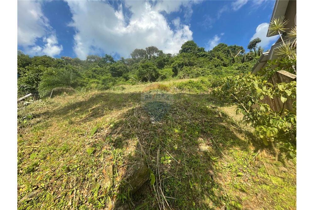 Land - For Sale - Diego Martin, Saint George, Trinidad and Tobago - 5 - 90155097-26