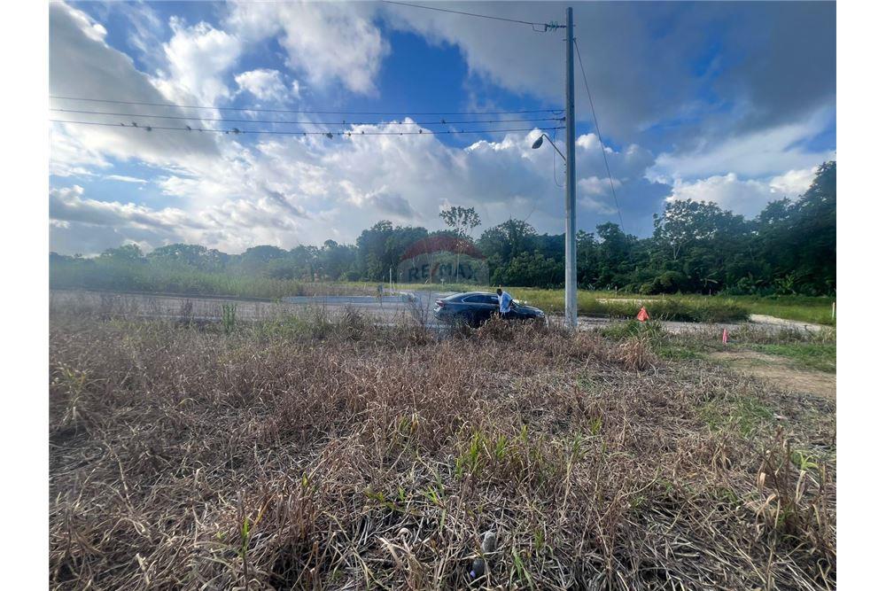 Grondstuk - Te Koop - Sangre Grande, Saint Andrew, Trinidad and Tobago - 1 - 90155092-96