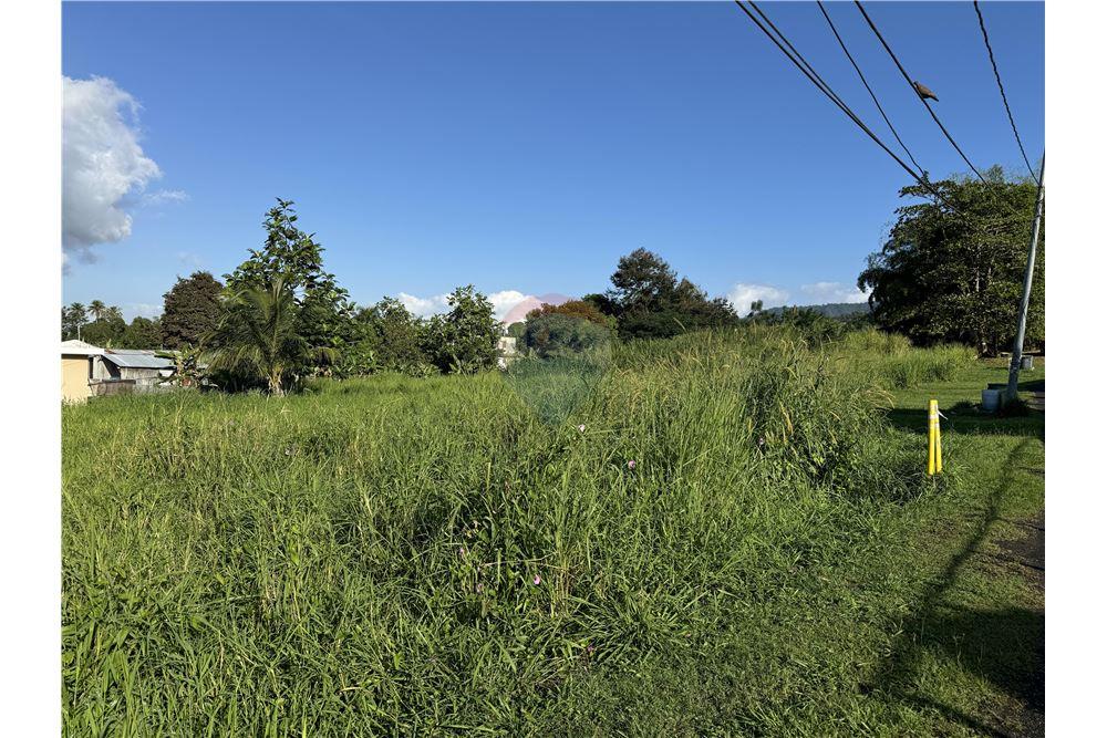 Lote - Venta - Juncos, Juncos, Puerto Rico - 5 - 90102046-19