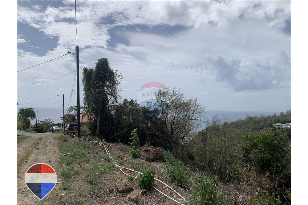 Grondstuk - Te Koop - Anse La Raye, Anse-la-Raye, St Lucia - 9 - 902071001-195