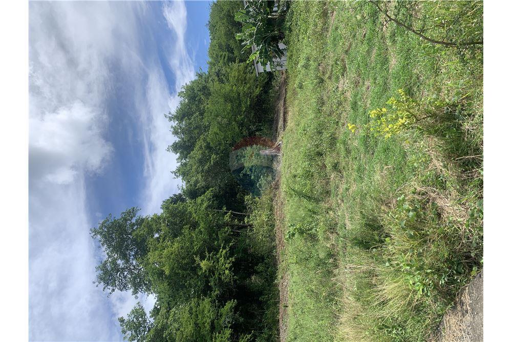 Grondstuk - Te Koop - Gros Islet, Gros-Islet, St Lucia - 9 - 902071001-212