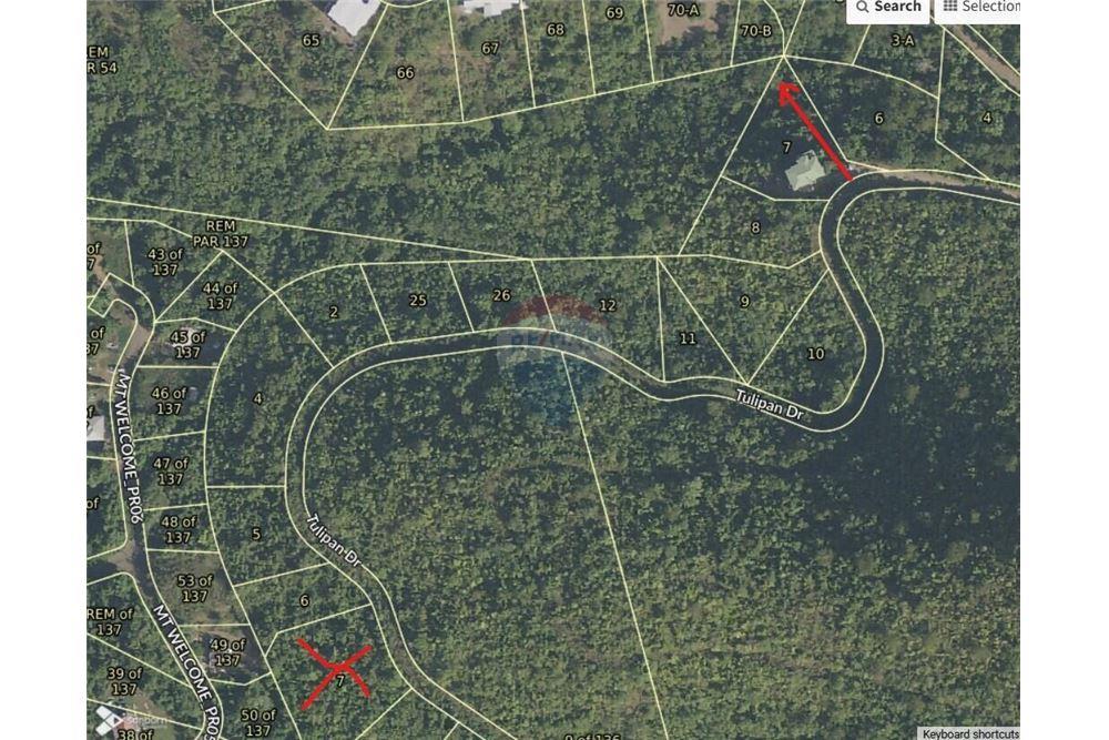 Lote - Venta - Mount Welcome Estate, St Croix, Islas Vírgenes Británicas - 7 - 90123001-1313