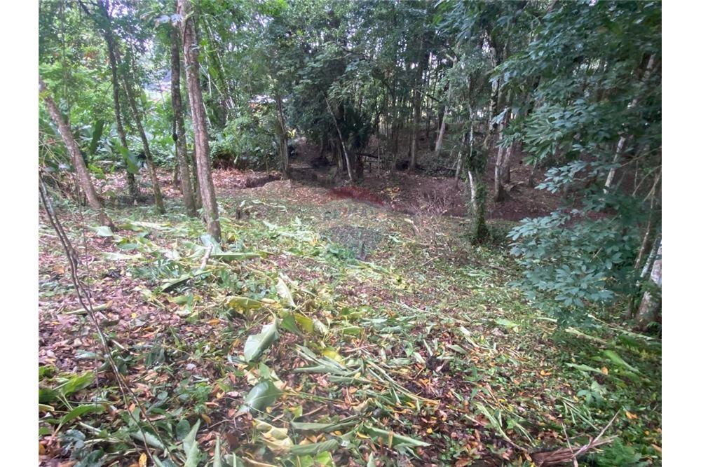 Lote - Venta - Sangre Grande, Saint Andrew, Trinidad and Tobago - 11 - 90155109-184