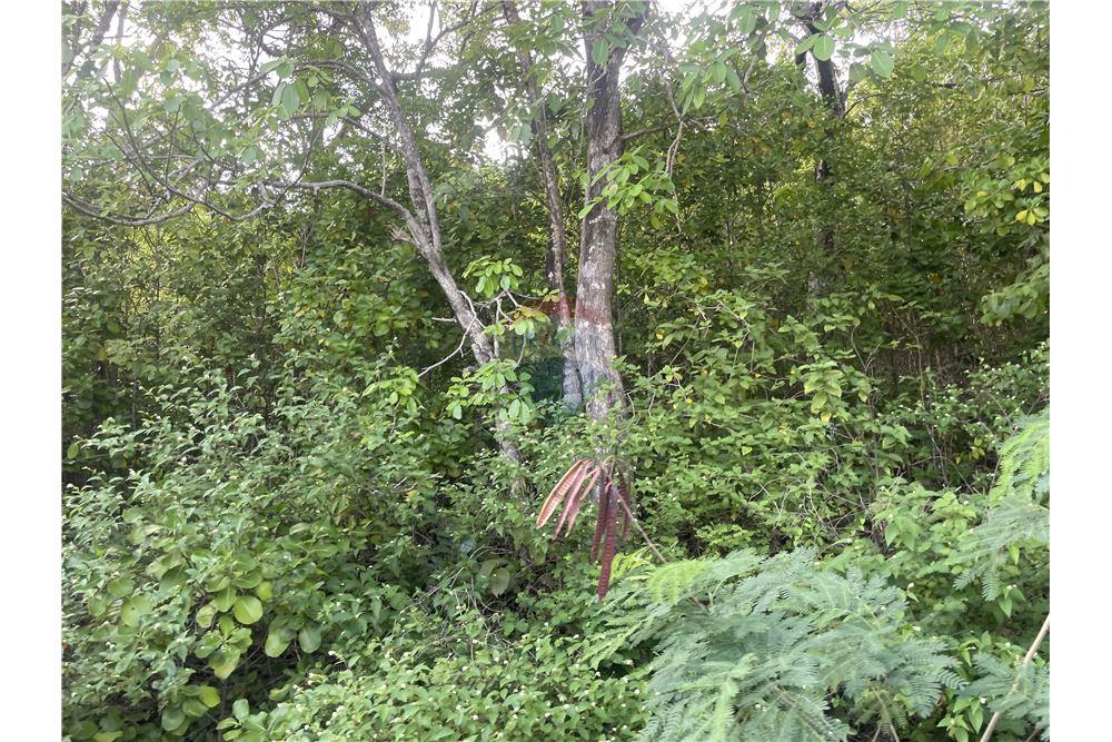 Grondstuk - Te Koop - Cap Estate, Gros-Islet, St Lucia - 4 - 902071001-204